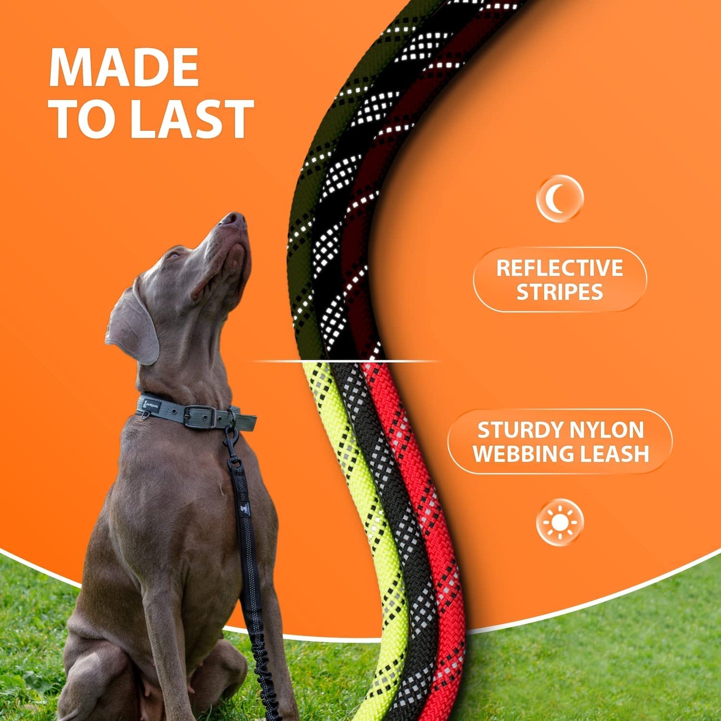 Durable Anti-Pull Bungee Leash for Large & Medium Dogs - 5.5 Ft Reflective No-Slip Design (Teal)