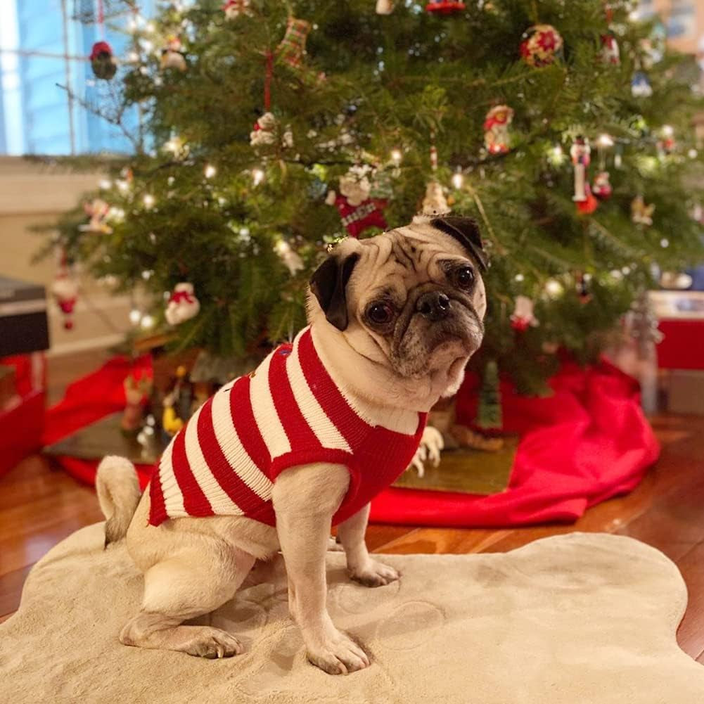 Dog Sweater Pet Christmas Elk Bells Sweaters Halloween Reindeer for Small Dog and Cat (M, Red)