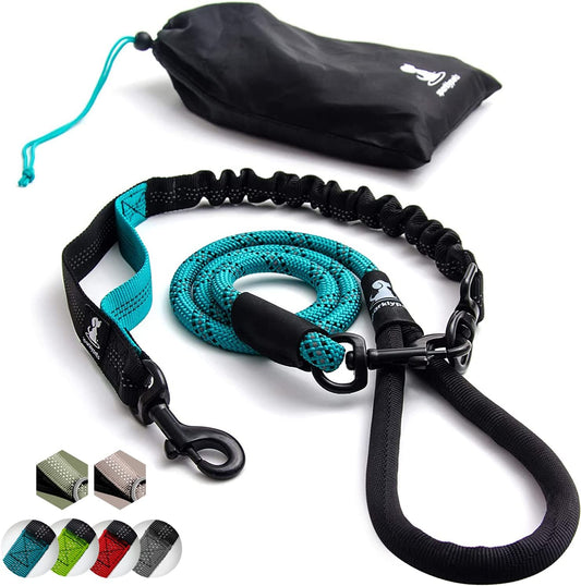 Durable Anti-Pull Bungee Leash for Large & Medium Dogs - 5.5 Ft Reflective No-Slip Design (Teal)